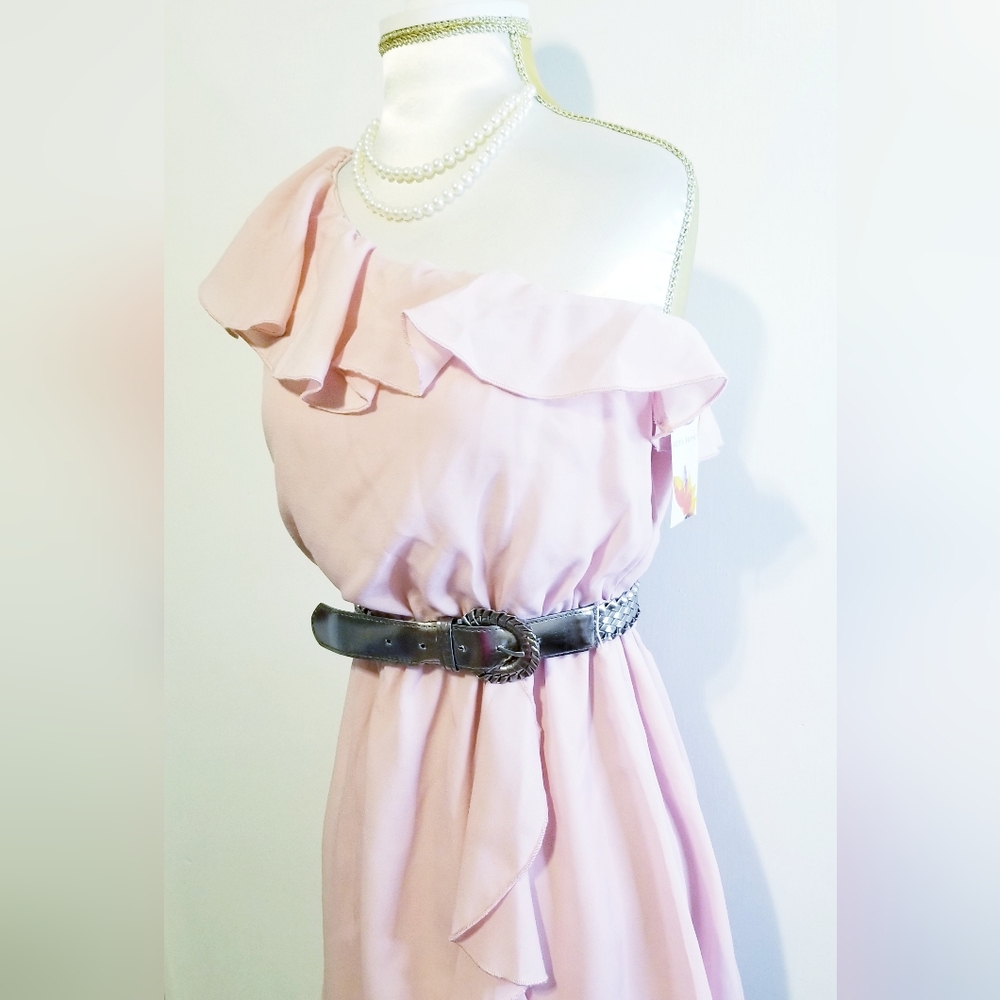 NWT Beta House Pink One Shoulder Ruffled Dress - Picture 5 of 13